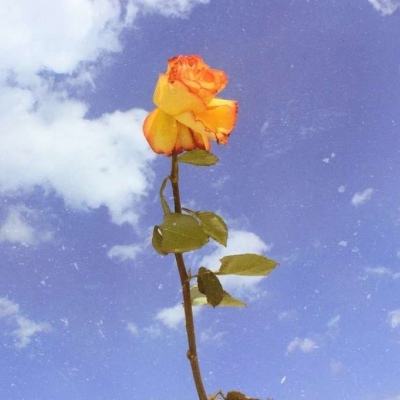 酒价内参3月25日价格发布 贵州茅台精品酒涨幅居前，环比上涨5元/瓶